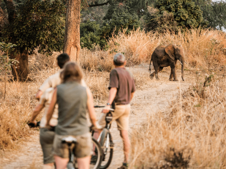 Tafika Camp, South Luangwa