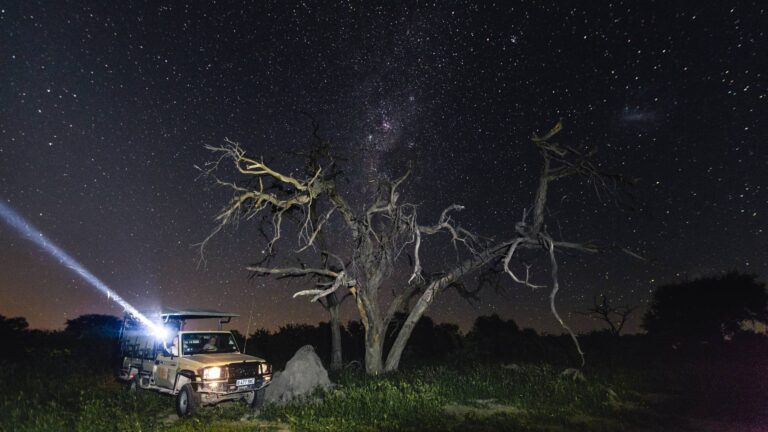 Botswana Wildlife and Victoria Falls, Safari Package, Hideaways Africa, Zimbabwe
