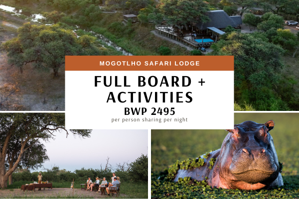 Mogotlho Full Board Special + Activities