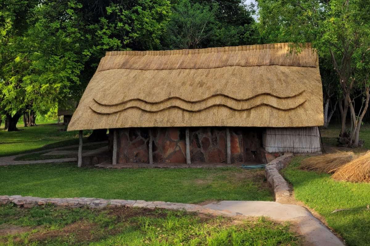 Bumbusi Wilderness Camp, Hwange National Park