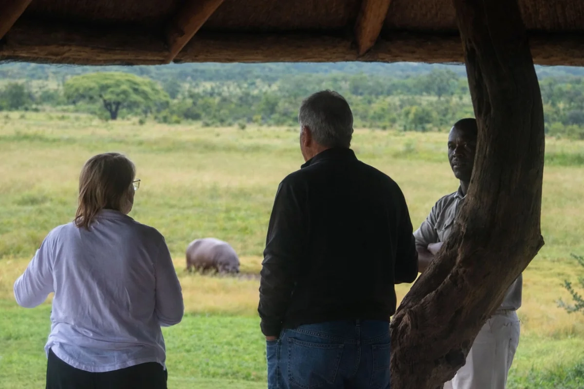 Guests watching Ndala the hippo from the deck at Hideaways Nantwich Lodge in Hwange