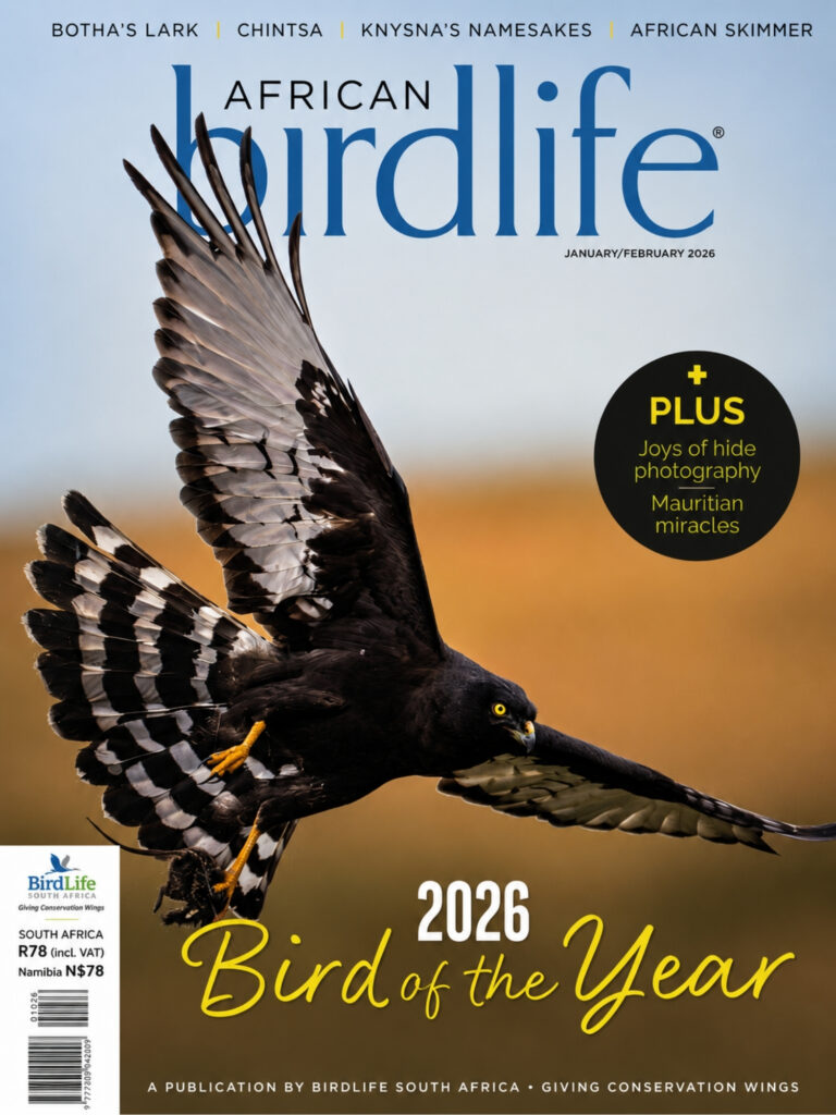 African Birdlife January_February 2026 Issue