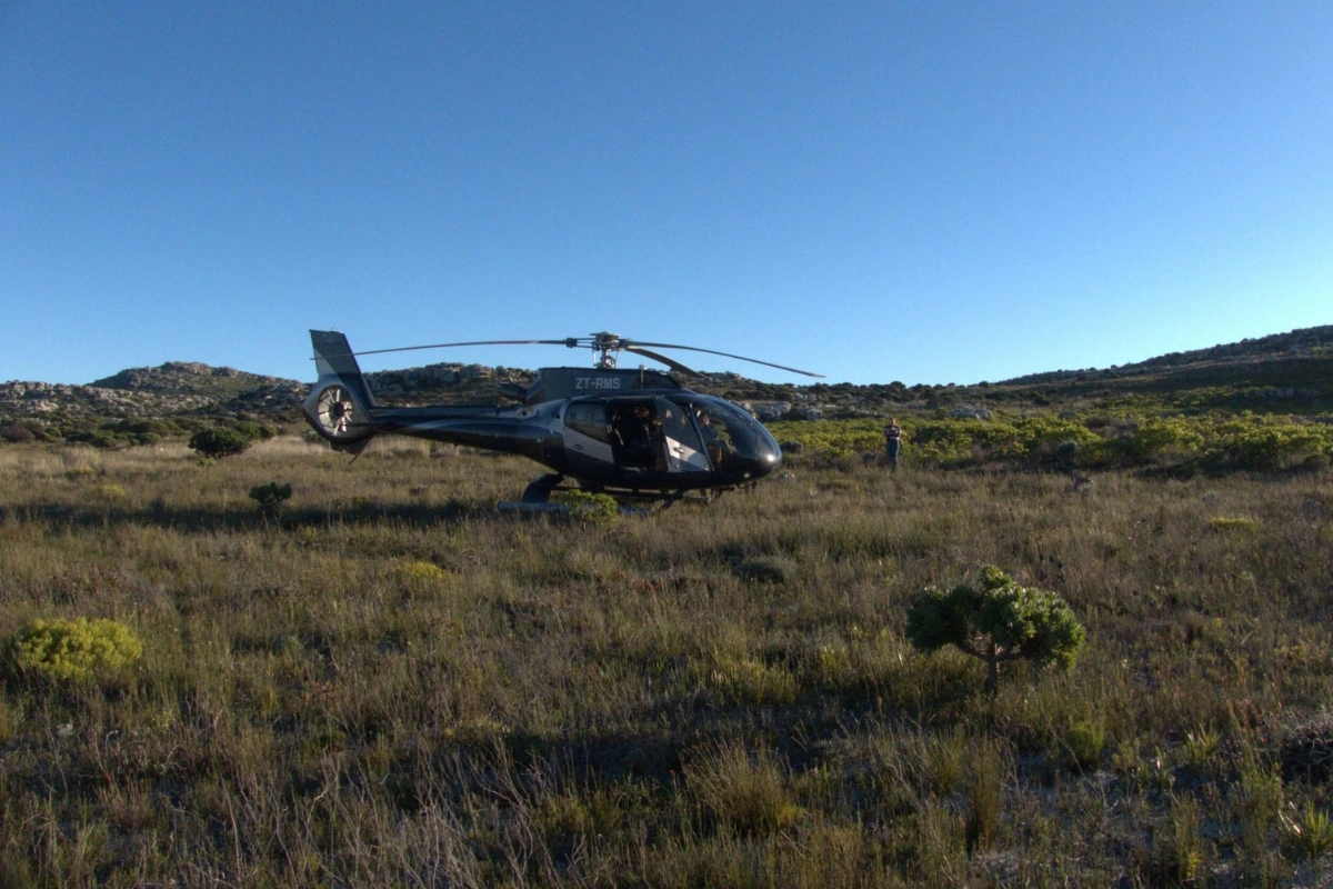 Private helicopter arrival experience in the remote fynbos near Cape Point Hideaway