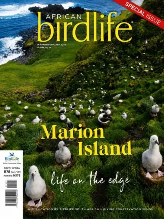 African Birdlife January_February 2025 Issue