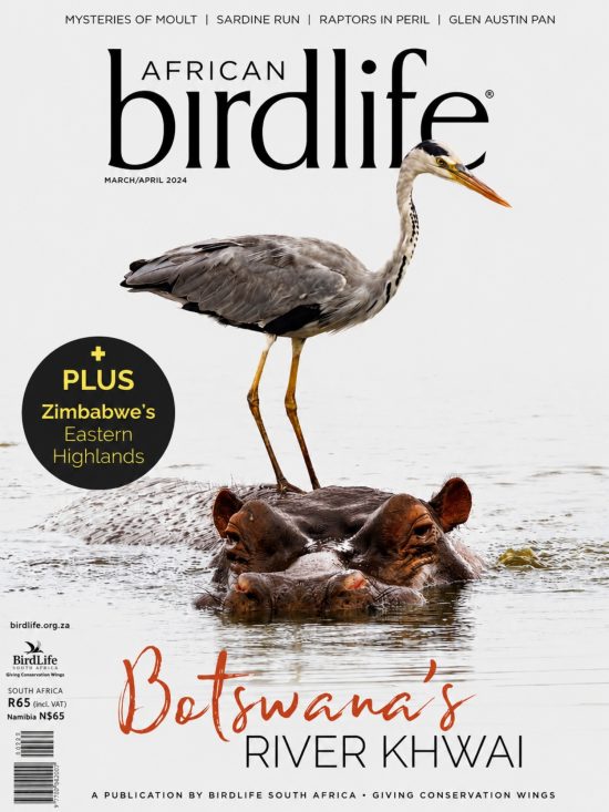 African Birdlife March_April 2024 Issue