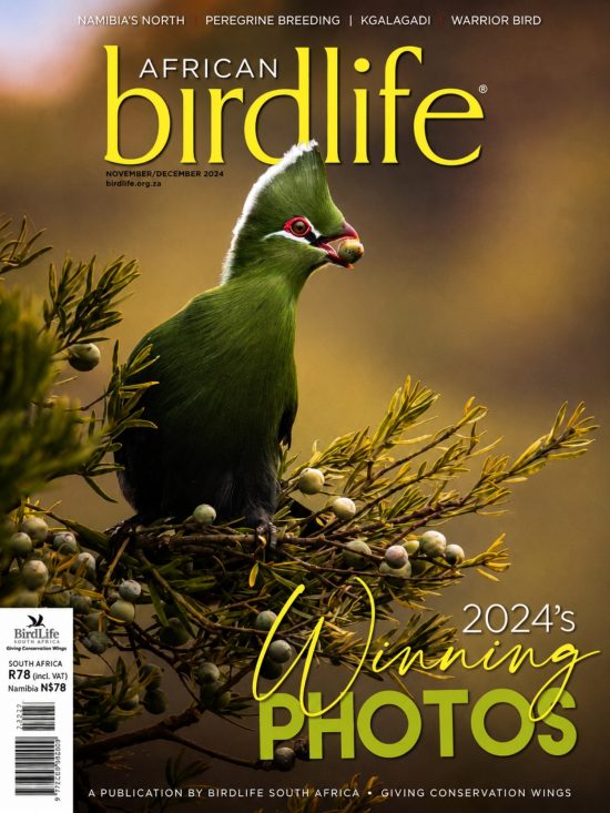 African Birdlife November_December 2024 Issue