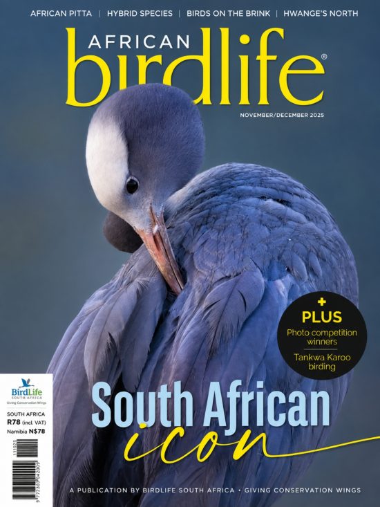 African Birdlife November_December 2025 Issue