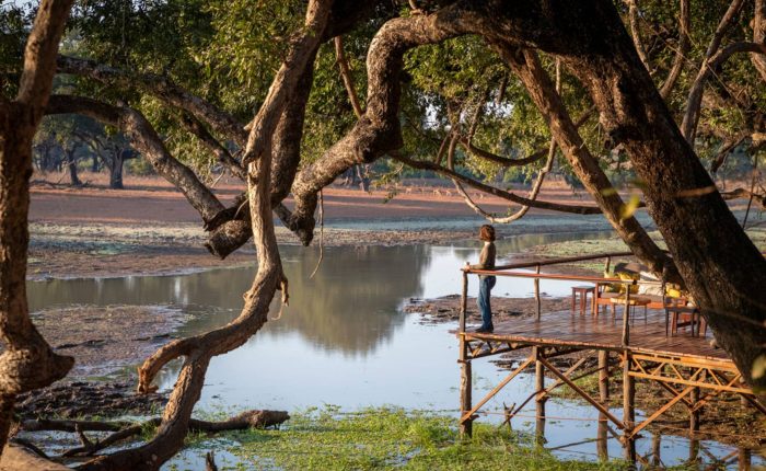 Big Lagoon Walking Camp, South Luangwa National Park, Zambia