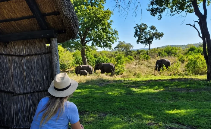 Free Flight Into Hwange Bumbusi Wilderness Camp Safari Specials